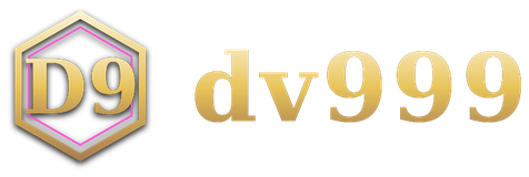 dv999 logo